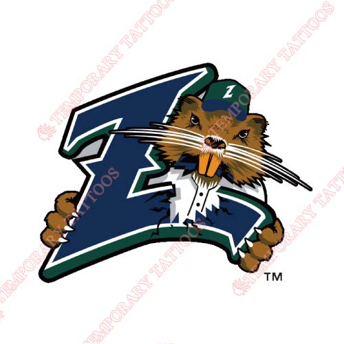 New Orleans Zephyrs Customize Temporary Tattoos Stickers NO.8191